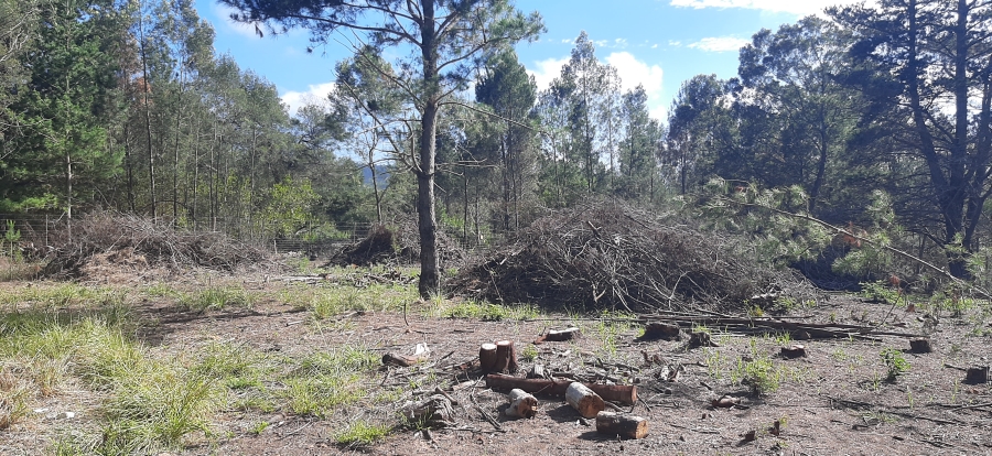 Commercial Property for Sale in Friemersheim Western Cape